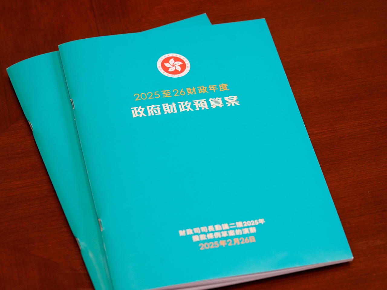 財政預算案裏看（不）到哪些減廢數字？  
